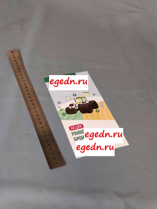 Liflety11