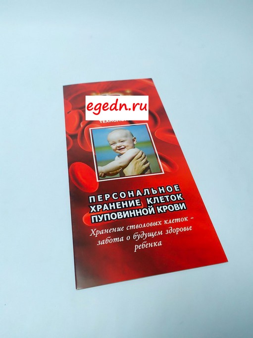 Liflety31