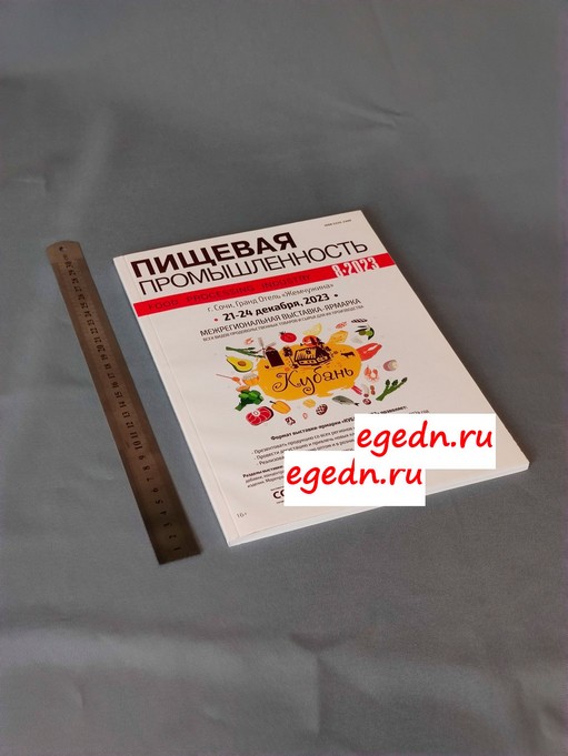 Zhurnaly16 0