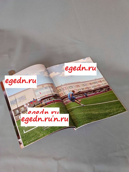 Zhurnaly19 0