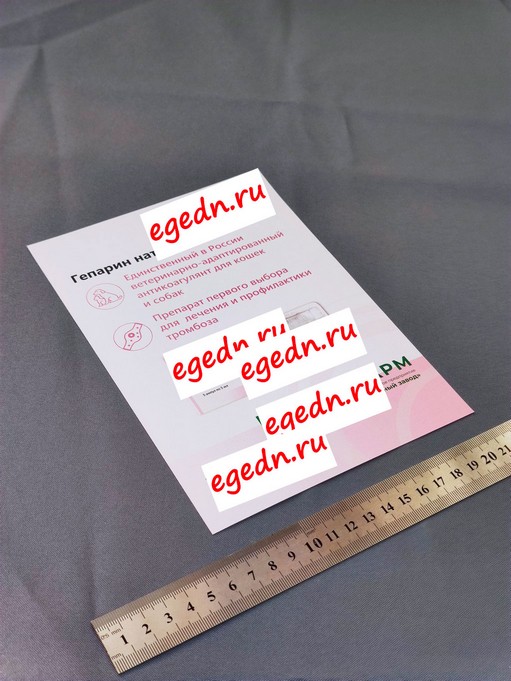Programmy listovki menu documenty65