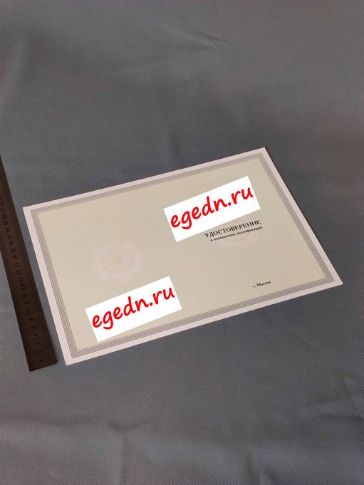 Sertifikaty diplomy blagodarnosti15