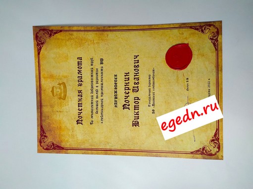 Sertifikaty diplomy blagodarnosti21