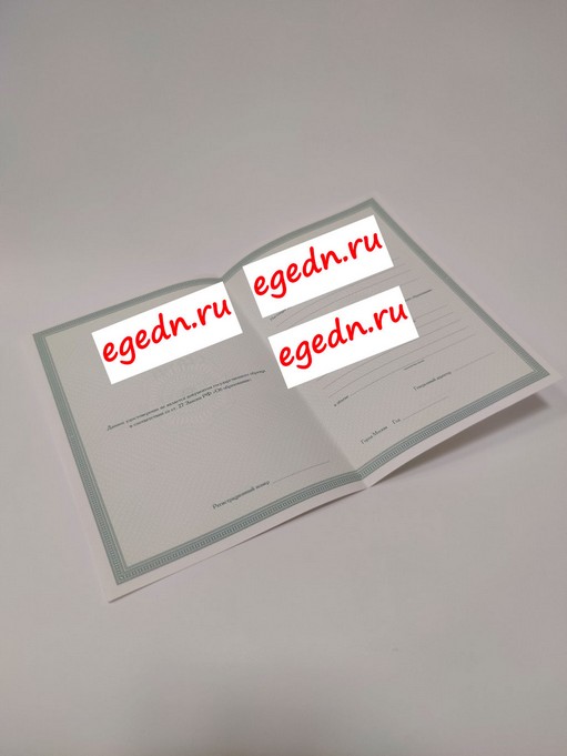 Sertifikaty diplomy blagodarnosti23