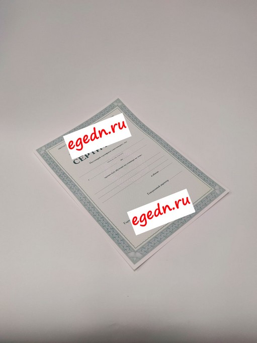 Sertifikaty diplomy blagodarnosti24