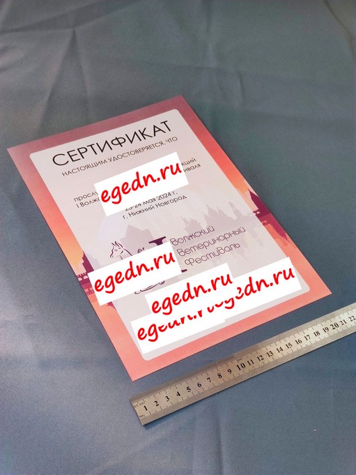 Sertifikaty diplomy blagodarnosti34