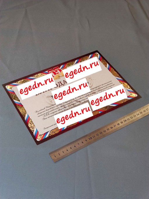 Sertifikaty diplomy blagodarnosti38