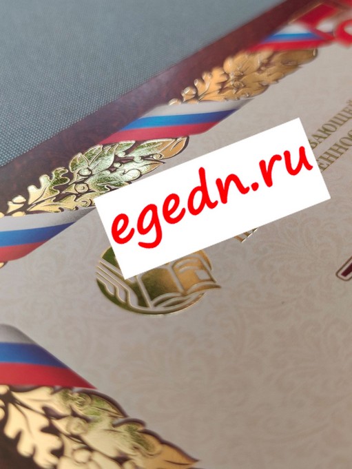 Sertifikaty diplomy blagodarnosti41