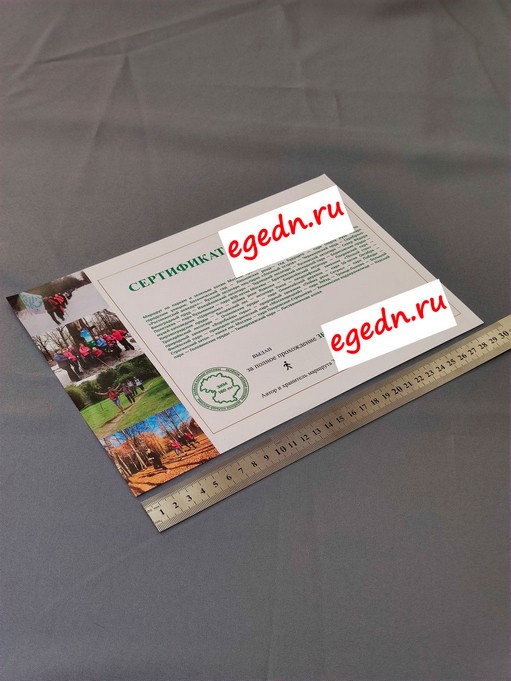 Sertifikaty diplomy blagodarnosti43