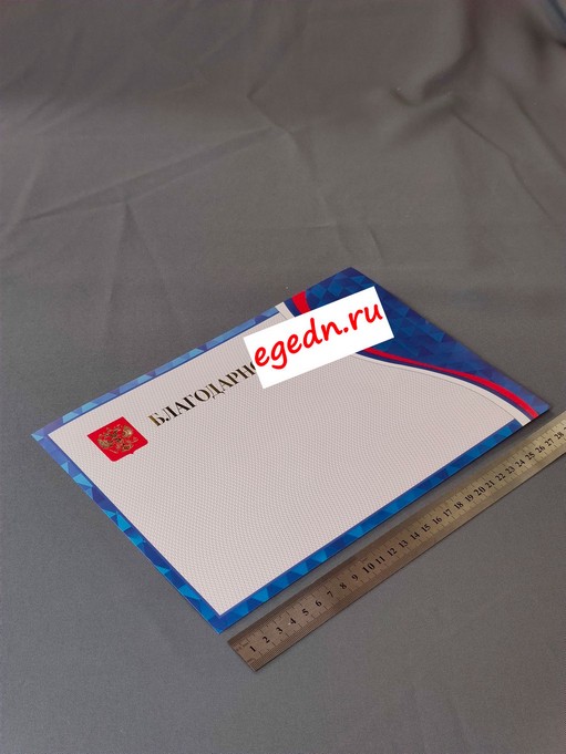 Sertifikaty diplomy blagodarnosti44