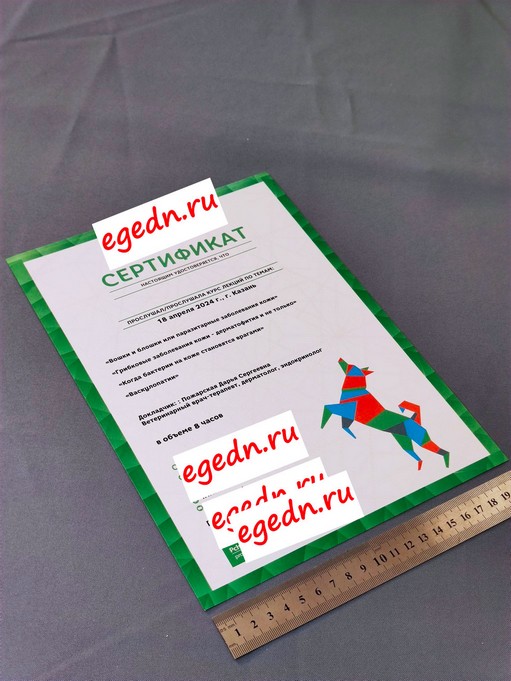 Sertifikaty diplomy blagodarnosti47