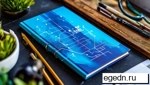 Заказ: Папки на кольцах брендированные Папки на кольцах брендированные